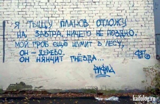 😯 Кто выбросил гроб на помойку? Жители Мелькомбината-2 в шоке от необычной находки!

Жители посёлка..