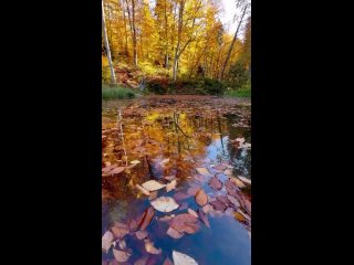 Живописное озерцо у дороги к Фишту 🍂 

Видео..