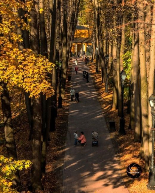 Золотая осень в Царицыно. 
 
Фото:..