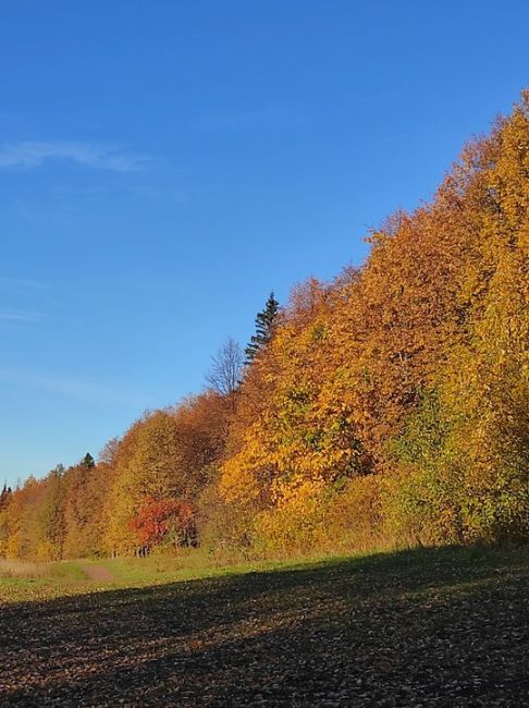 Пермский район, поселок Горный..