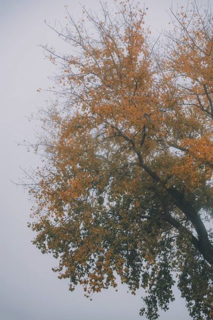 🌫 Утро в Батайске

Фото: Артём..