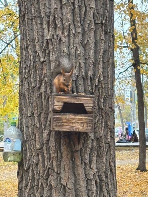 Осень в парке Гагарина..