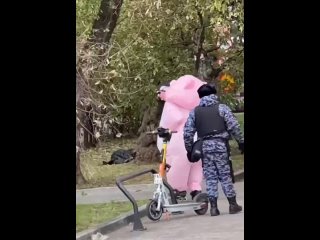 🐷В Москве произошло очень странное..