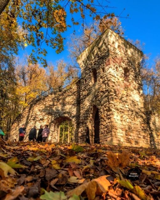 Золотая осень в Царицыно. 
 
Фото:..