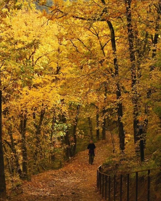 «Прогулка по эко-тропе в Абрау-Дюрсо🍂🍁» 
Все фото..