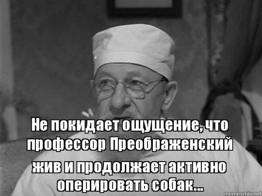 🐾Уфимские квадроберы на Первом! 
 
Руслана Ракету и Эмиля пригласили на Первый канал в шоу «Пусть говорят», в..