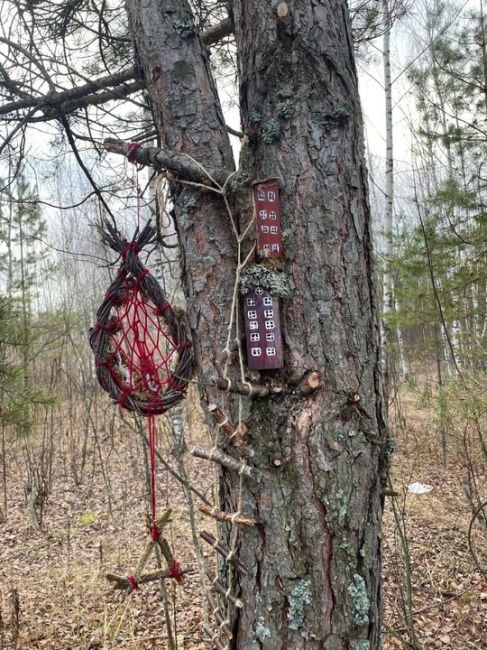 🗣Немного крипоты из Борских лесов — в глуши, неподалеку от просёлочной дороги у деревни Мыс, заметили..