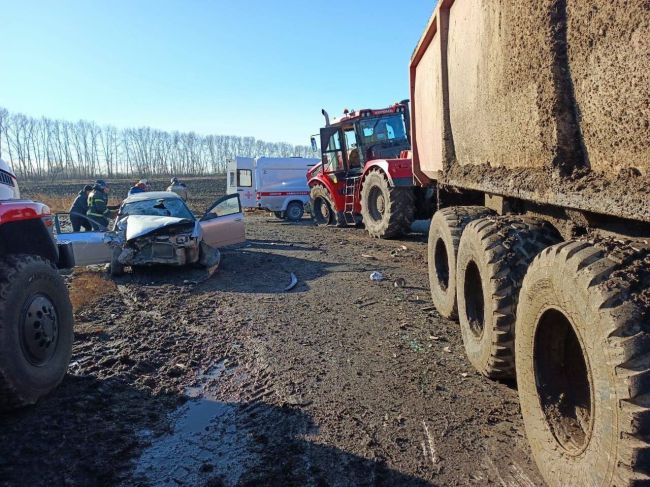 В Маслянинском районе мужчина, управляя автомобилем Nissan Wingroad, двигался по автодороге "Черепаново -..