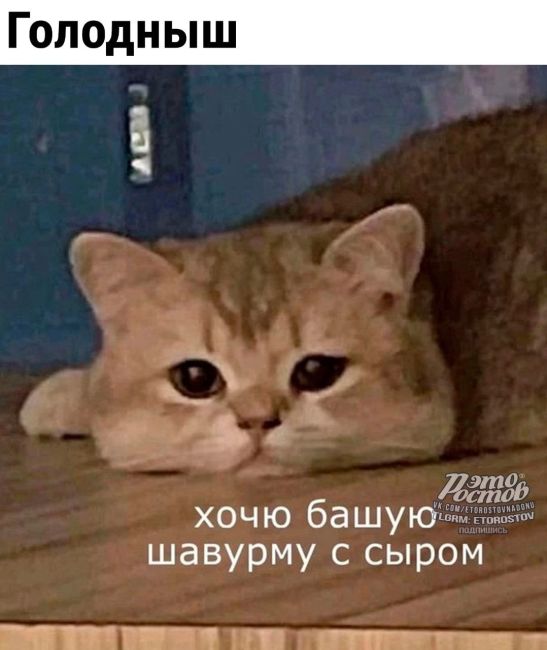 😸 Четыре всадника рабочей..