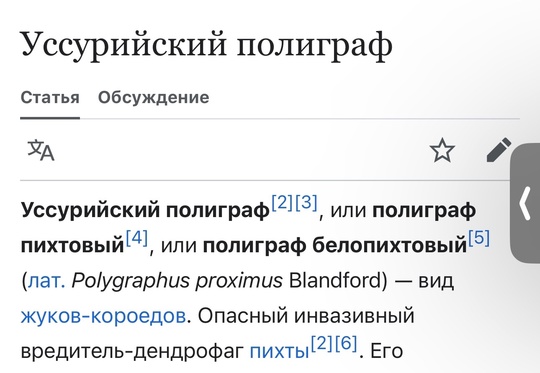 18 тысяч рождественских елей отправились в Туркмению из Пермского края

Все они будут доставлены туда..