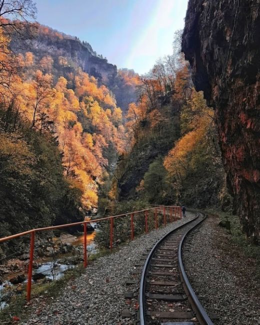 Путь от Гуамки до Мезмая по узкоколейной железной дороге ❤️

Фото:..