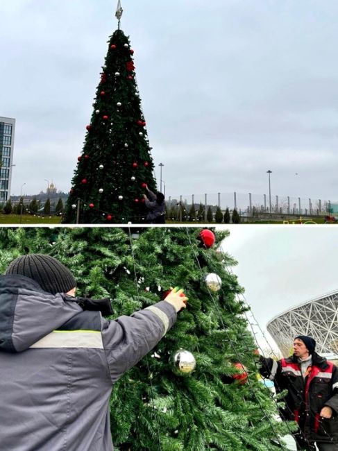 В Волгограде установили и украсили первую городскую ёлочку! 👏😍

Семиметровая красавица будет украшать..