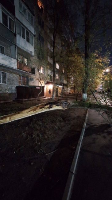 Во дворе дома по адресу Стачки, 233 упало дерево и перегородило..