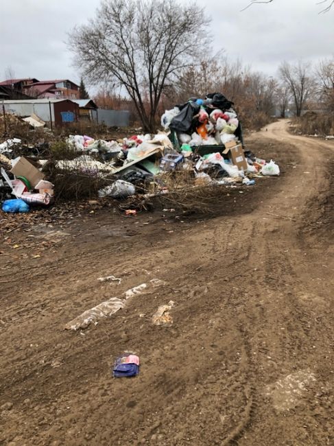 Горожане жалуются проблемы с вывозом мусора по адресу Крутые ключи..