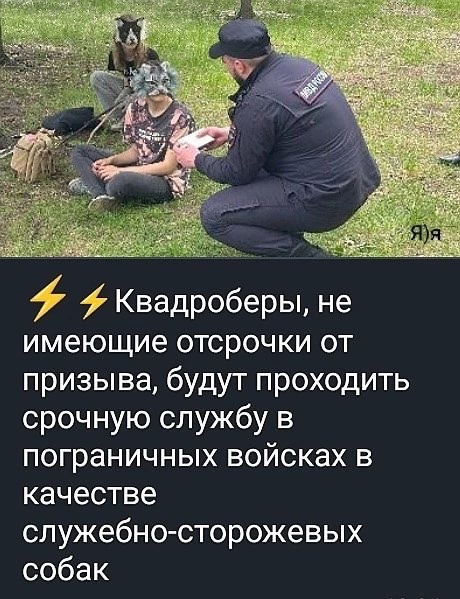 🐾Уфимские квадроберы на Первом! 
 
Руслана Ракету и Эмиля пригласили на Первый канал в шоу «Пусть говорят», в..