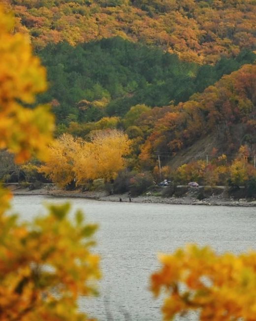 «Прогулка по эко-тропе в Абрау-Дюрсо🍂🍁» 
Все фото..