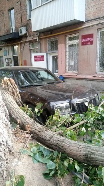 Сегодня Ростов-на-Дону накрыл деревопад. Из-за ветра пострадала не один автомобиль. 
 
В управлении ГО и ЧС..