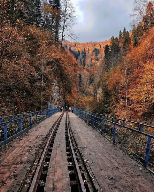 Путь от Гуамки до Мезмая по узкоколейной железной дороге ❤️

Фото:..