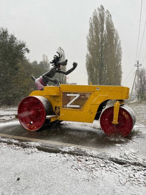 Волк из Борисоглебска 

Фото: "Pro..