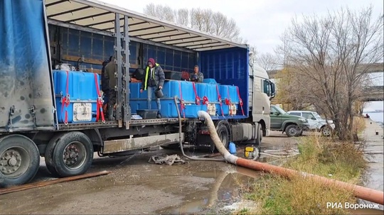 В Воронежское водохранилище выпустили около полумиллиона мальков: 225 тысяч особей белого толстолобика и 230..