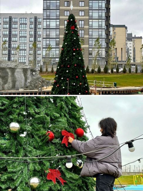 В Волгограде установили и украсили первую городскую ёлочку! 👏😍

Семиметровая красавица будет украшать..