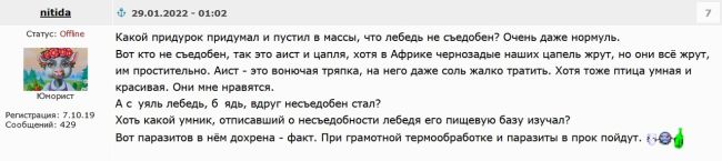 Ростовчане спасли [https://vk.com/wall-36039_10125671|таганрогского аиста], который не улетел на Юг. Птицу могли убить..