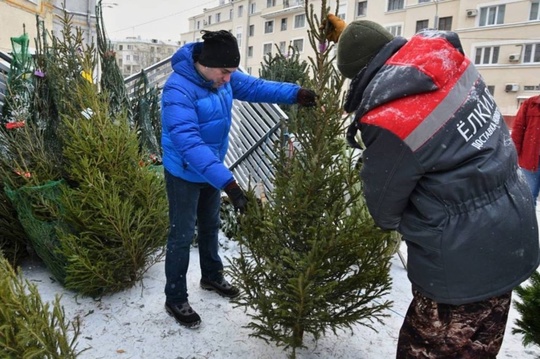 🎄Елочные базары заработают в Нижнем Новгороде с 10 декабря. Вот адреса:

— в Автозаводском районе:
ул...