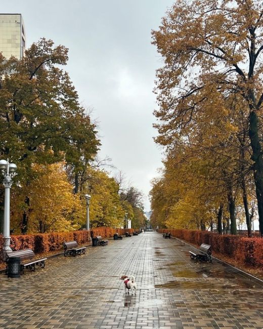 Все доброго утра и отличного настроения..