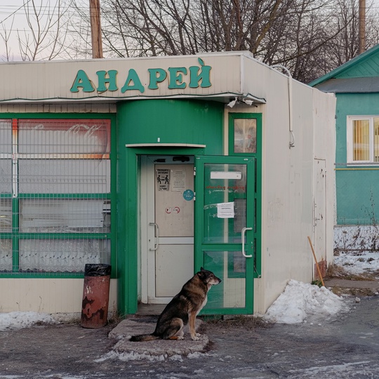 Доброе утро💛

"Возвращение нижегородских ларьков" 
Фото: Даниила..