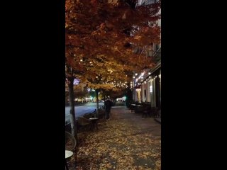 Осенний вечер в Краснодаре✨🍁

Видео:..