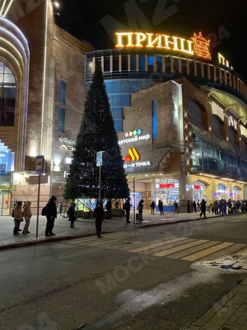 Еще одну ёлочку обнаружили в Москве.

Она обосновалась на "Теплом..