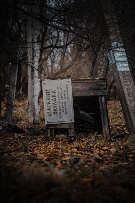 Воронежские зарисовки..