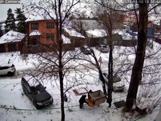 По всей стране продолжаются нападения бродячих собак на людей, в том числе и со смертельным исходом (за 2..