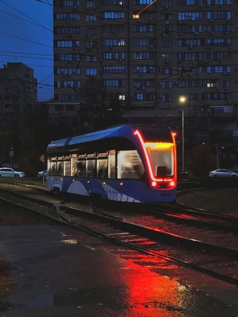 Доброй ночи, Волгоград!..