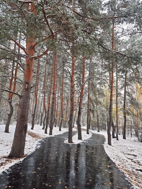 Сегодня в парке..