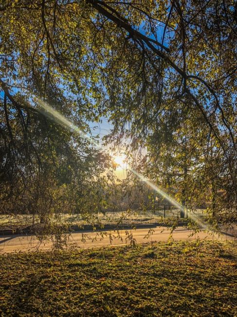 Солнечное ноябрьское Сормово 🍃🍂🍁☀️

#зарисовкинеоченьюногонатуралиста 
#нижегородскиезарисовки..