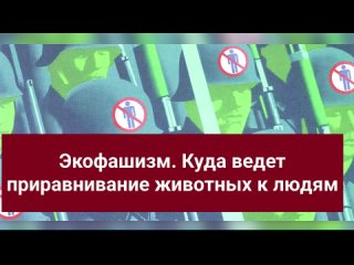 💔 Грустное видео: уличный кот заплакал, потому что впервые поел за долгое время 😿

Ничего грустнее сегодня..