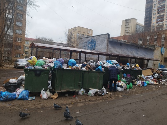 Горожане жалуются проблемы с вывозом мусора по адресу Крутые ключи..