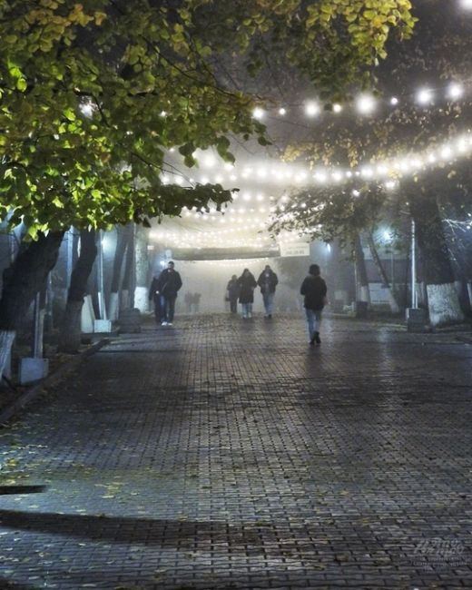 🌫 Во время тумана Ростов становится чуточку мистичнее 😍

Фото: Роман..