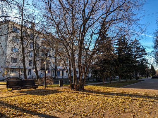 Солнечное ноябрьское Сормово 🍃🍂🍁☀️

#зарисовкинеоченьюногонатуралиста 
#нижегородскиезарисовки..