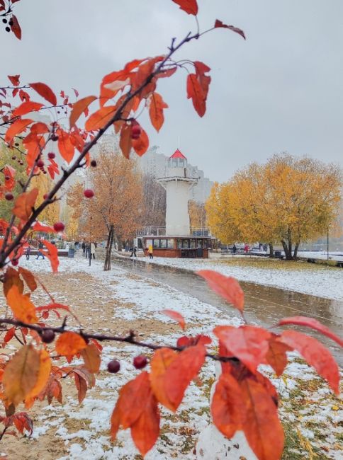 Встретилась однажды осень с зимой...

Фото: Виолетта..