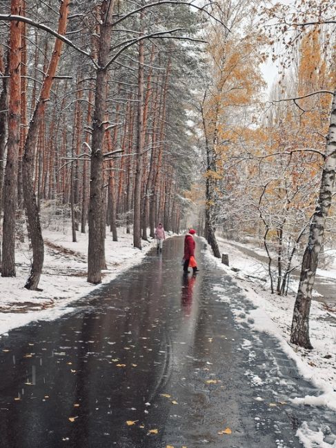 Сегодня в парке..