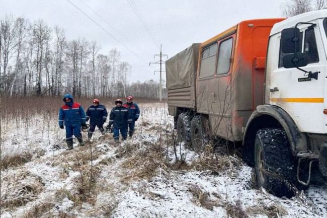 Линии электропередач в 11 районах Новосибирской области оборвал шторм 

Нахулиганил ветер больше всего в..