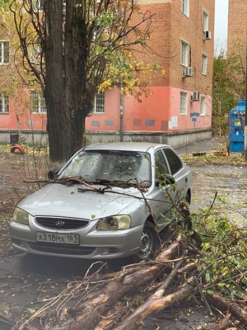 Деревопад в Азове..