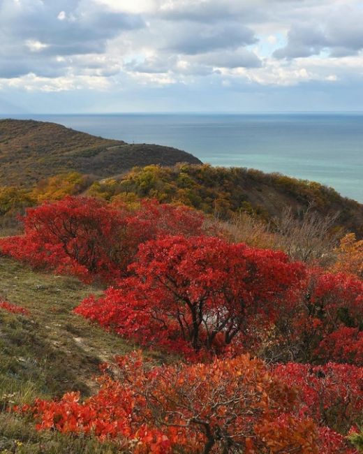 Прогулка по осеннему побережью от Супсеха в сторону Сукко🍁🍂🔥

Фото..