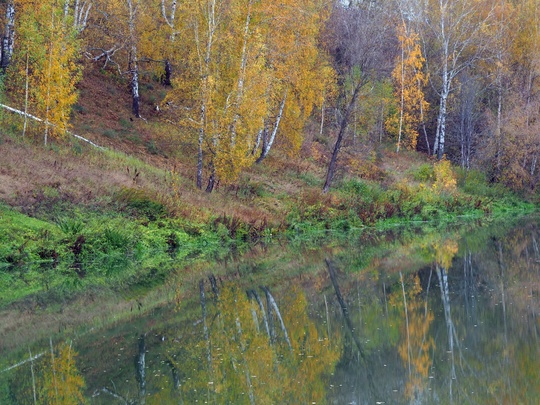 Павловский район. Тумботинская осень.💙

фото: Павла..