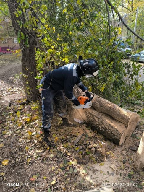 Сегодня Ростов-на-Дону накрыл деревопад. Из-за ветра пострадала не один автомобиль. 
 
В управлении ГО и ЧС..