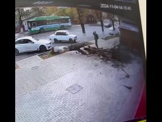 🤯 В Майкопе дерево чуть не убило прохожего.

Мужчине чудом повезло, что в самый последний момент он..