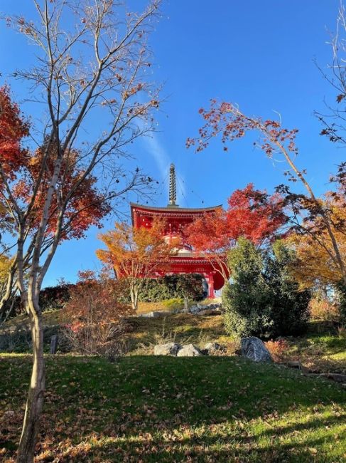 Япония в Краснодаре ⛩
Парк..