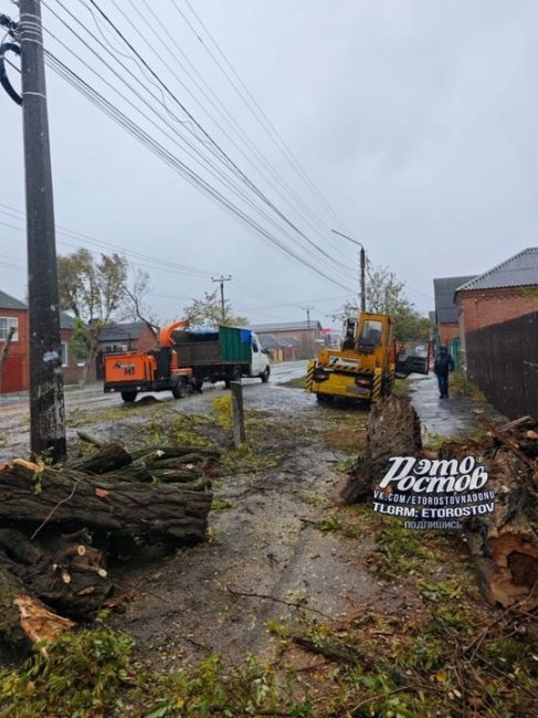 ⚠️🌳 Тем временем ветер с порывами до 30 м/с повалил сотни деревьев Таганроге, Батайске и Азове. Тысячи людей..